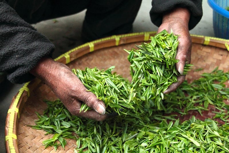 Harvesting Techniques